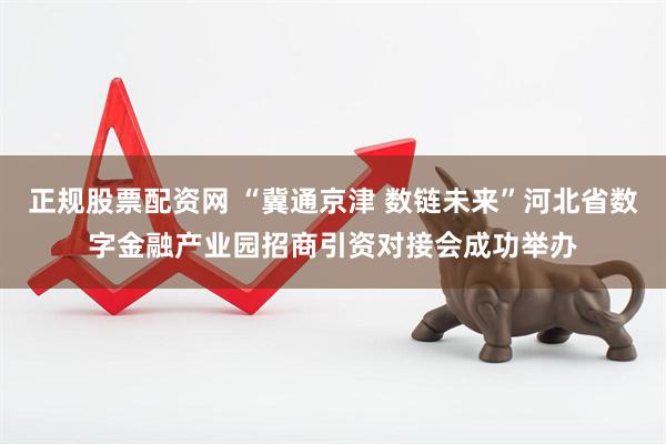 正规股票配资网 “冀通京津 数链未来”河北省数字金融产业园招商引资对接会成功举办