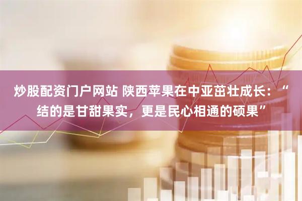 炒股配资门户网站 陕西苹果在中亚茁壮成长：“结的是甘甜果实，更是民心相通的硕果”