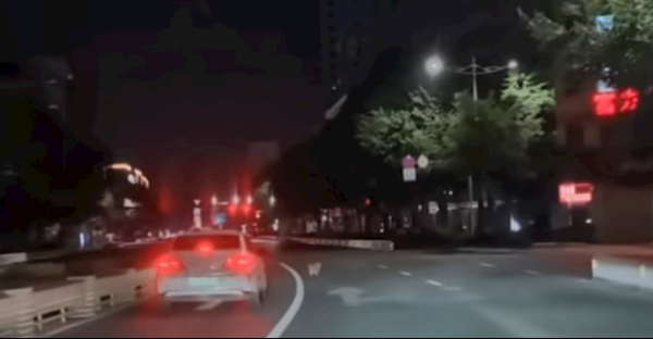 互联网配资平台 华为救了一条狗命