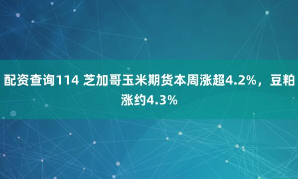 配资查询114 芝加哥玉米期货本周涨超4.2%，豆粕涨约4.3%
